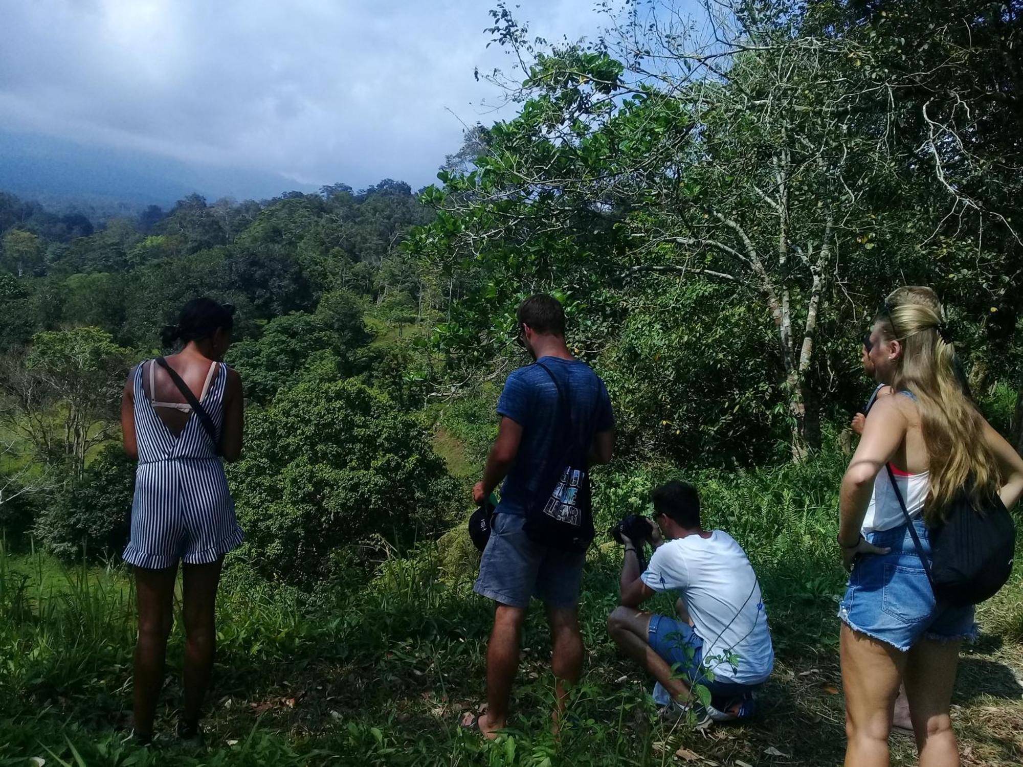 Tereng Wilis Jungle Inn Tetebatu Bagian luar foto