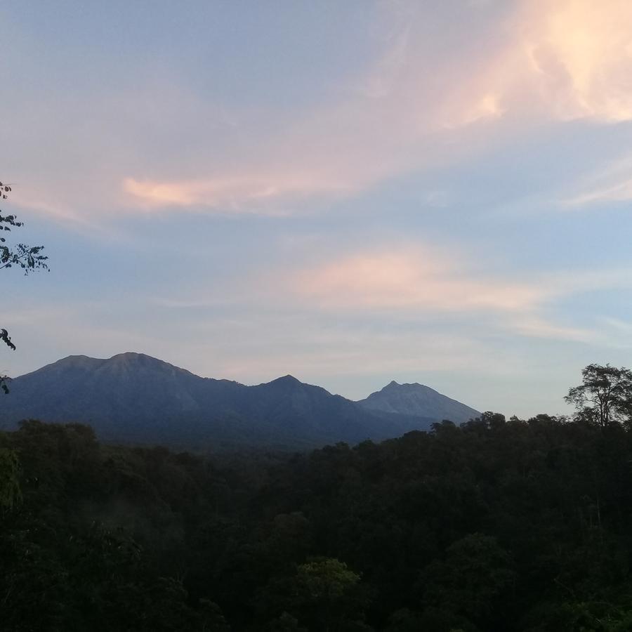 Tereng Wilis Jungle Inn Tetebatu Bagian luar foto