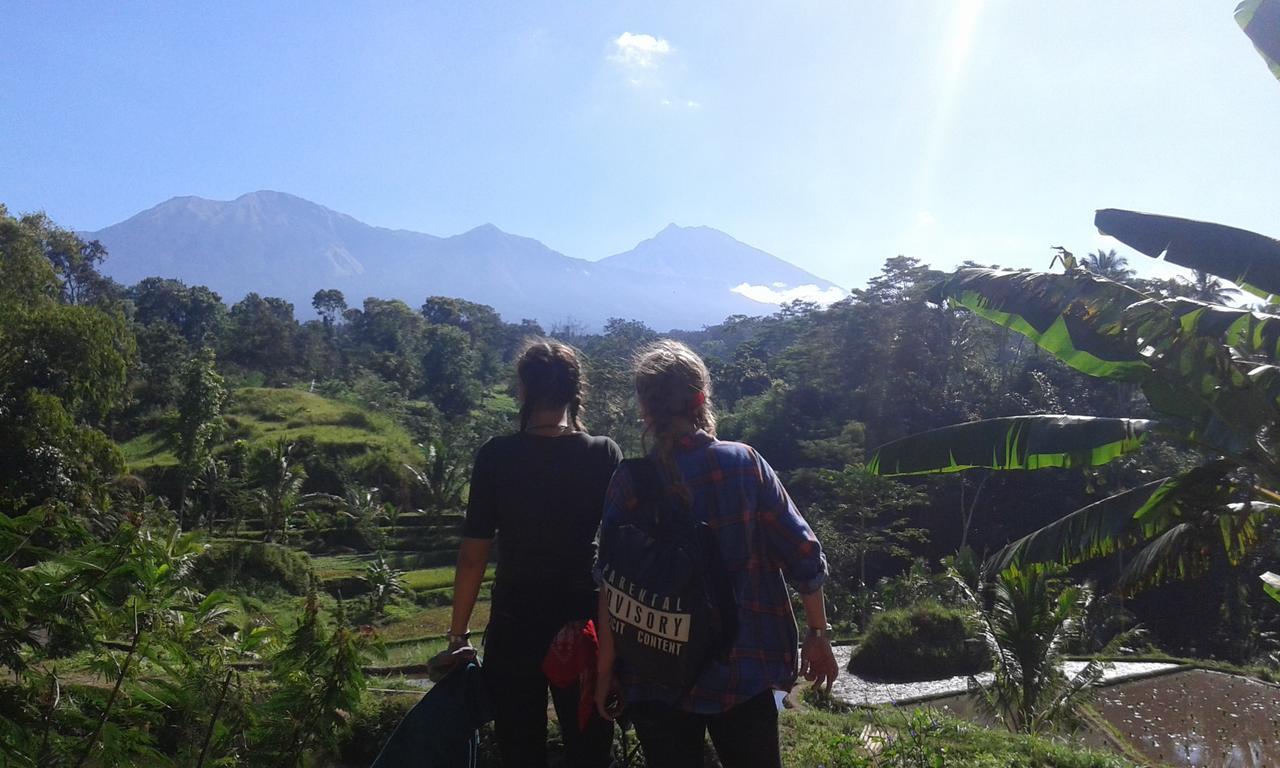 Tereng Wilis Jungle Inn Tetebatu Bagian luar foto