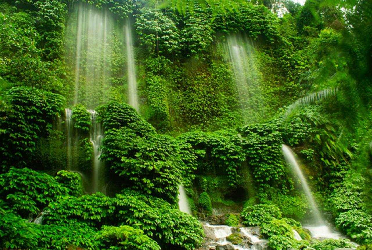 Tereng Wilis Jungle Inn Tetebatu Bagian luar foto