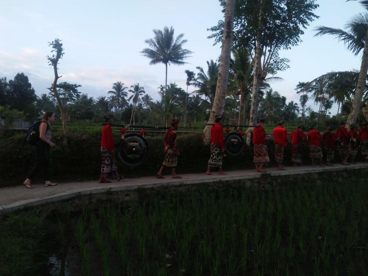 Tereng Wilis Jungle Inn Tetebatu Bagian luar foto