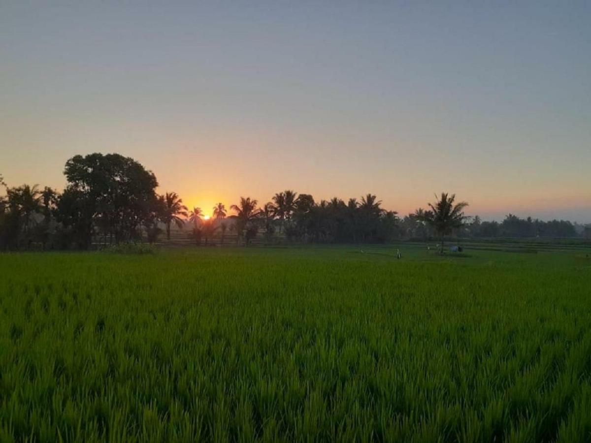 Tereng Wilis Jungle Inn Tetebatu Bagian luar foto