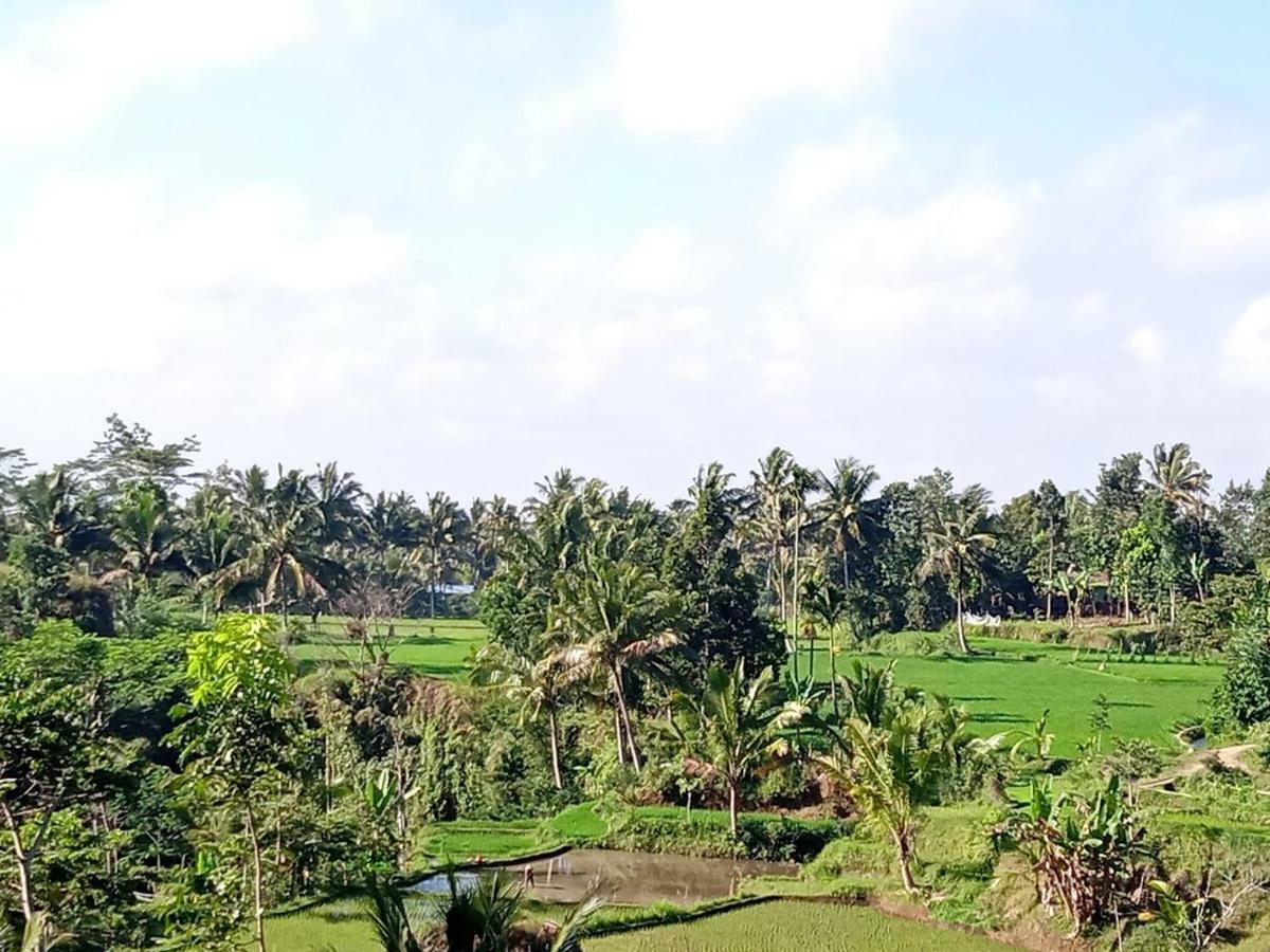 Tereng Wilis Jungle Inn Tetebatu Bagian luar foto