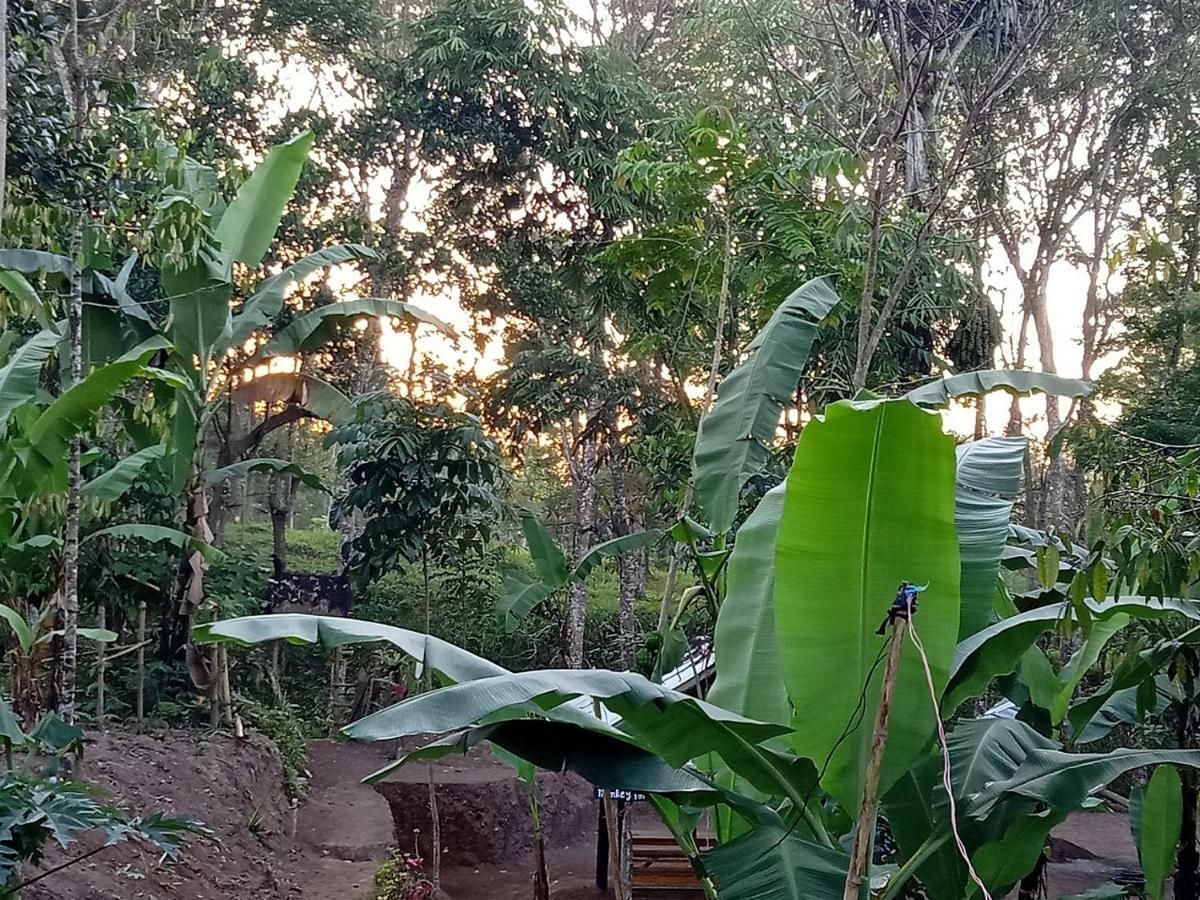 Tereng Wilis Jungle Inn Tetebatu Bagian luar foto