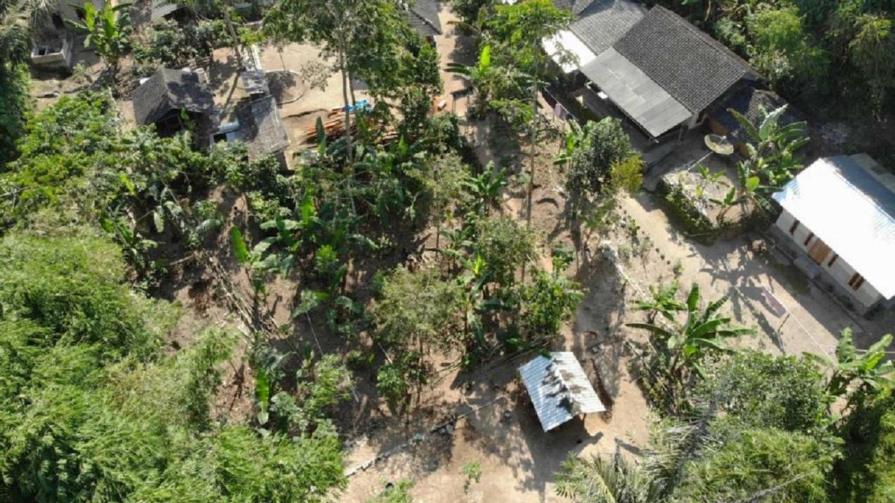 Tereng Wilis Jungle Inn Tetebatu Bagian luar foto